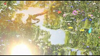 The Volunteers - Summer