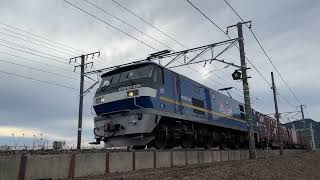 1092レ EF210-339号機 富士川〜富士