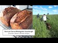Burrum Farm Wholegrain Sourdough Bread (wheat, spelt &amp; rye) and some highlights of my trip!
