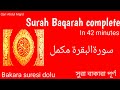 surah baqarah fast recitation||complete||sapi betina|| in 42 minutes