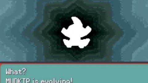 Mudkip Evolving (FUNNY VERSION!)