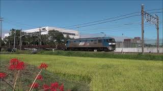 【JR貨物】臨8090レ EF210 138 掛川付近通過