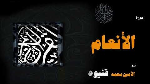 القران الكريم بصوت الشيخ الامين محمد قنيوة | سورة الأنعام