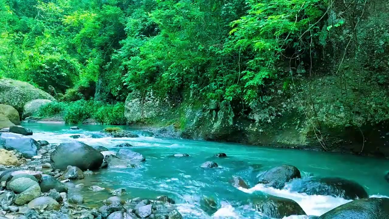 '''''''Healing Nature Ambience, Beautiful Stream Through Green Forest, and Flowing Water