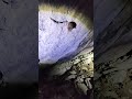 ENTERING THE BEAR CAVE! 🦇🔍 DISCOVERING A SLEEPING BAT IN CT'S MYSTERIOUS CAVE! #BearCave #hiking