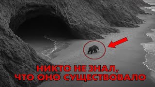 «ШОКИРУЮЩИЕ открытия о жизни МИЛЛИОН лет назад: существа, в которые НЕВОЗМОЖНО поверить!»