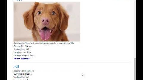 Harvard CS50 Web Dev, Commerce(Project 2)