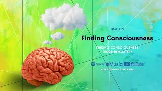 Famous Northern Lights – Finding Consciousness (2025 Remaster) Visual Net Worth