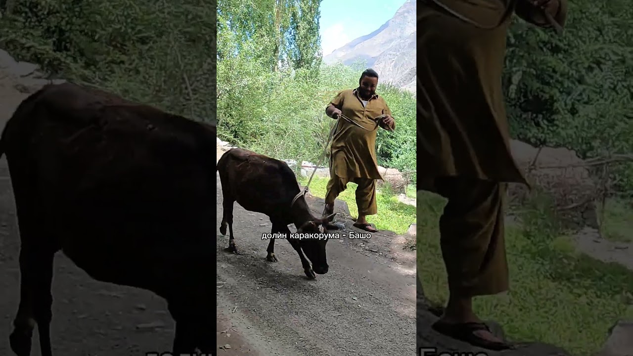 Встретили в Пакистане детей-блондинов. Долина Башо в Гилгит-Балтистане 