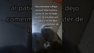 Jajajaja casi se quedan sin hamster 😂