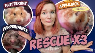 Rescuing 3 Hamsters from Rocket Ship Cages! | Munchie's Place