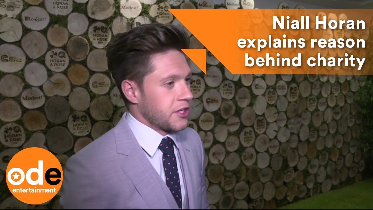 Niall Horan explains the surprising meaning behind his You Could ...