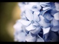 感謝のしるし(kumaore)オリジナル弾き語り