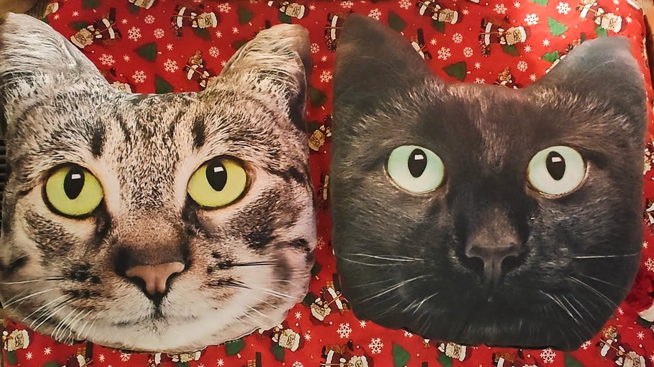 Cat Christmas YouTube