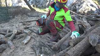 Husqvarna 61 Cutting Firewood! Old Beast VS Hardwood