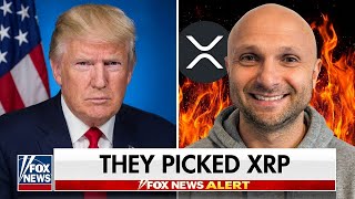 Ripple Xrp News - Breaking Us Senate Picks 8 Crypto Winners Xrp Holders All In