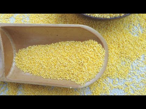 小米粥怎麼做：熬小米粥，直接用水煮是错的，大厨教你3招，小米粥香浓油润好喝（美食教學）