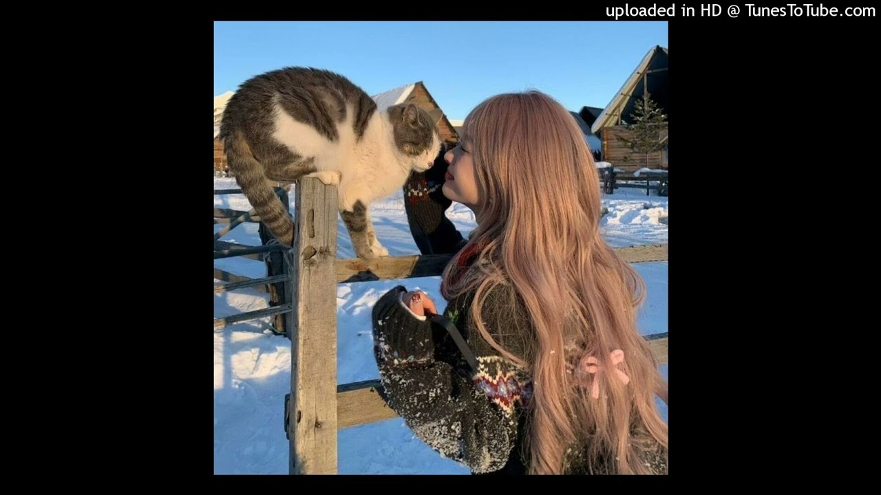 milanezie x cashcache x jaydes type beat - "recomeço"(prodbybunny)