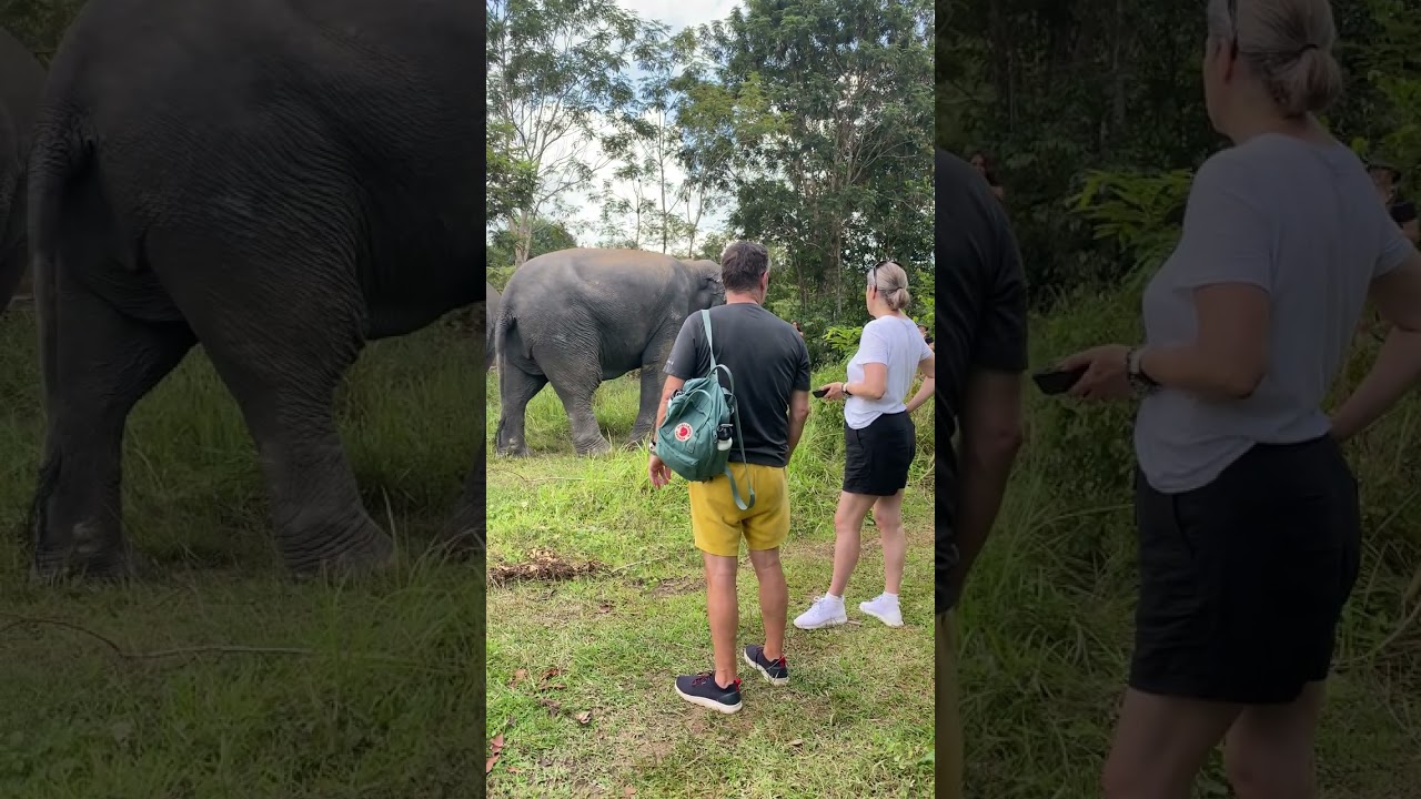 Pretty great time with family 🥰🐘Kulen Elephant Forest