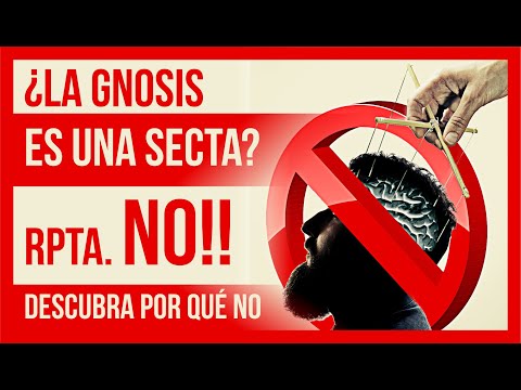 Video: Violación De La Gnosis Espacial En Niños