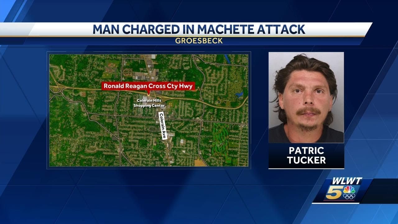 Court docs: Man accused of cutting victim with machete during road rage ...