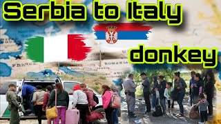 Serbia 🇷🇸 to Italy 🇮🇹 donkey