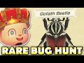 🐛 [JUNE] CATCHING ALL NEW BUGS! Animal Crossing New Horizons RARE BUG HUNT!