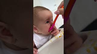 The New Way to Baby Book