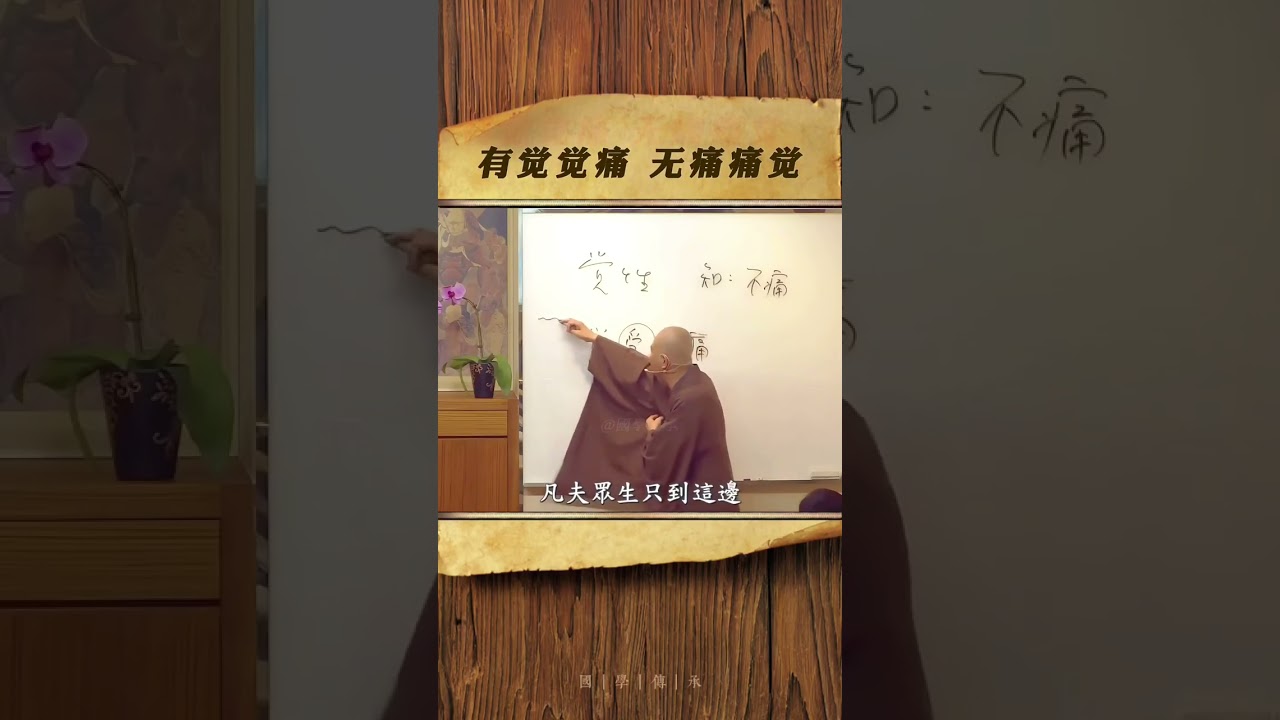 有觉觉痛 无痛痛觉#传统文化 #禅悟人生 #禅修养心 #智慧认知