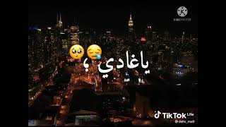 اغنية صاي تسيبارينا 😔💔