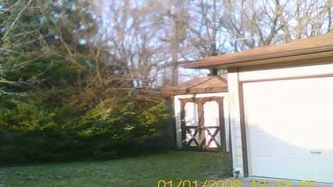 Blade mCP X in the Backyard 2