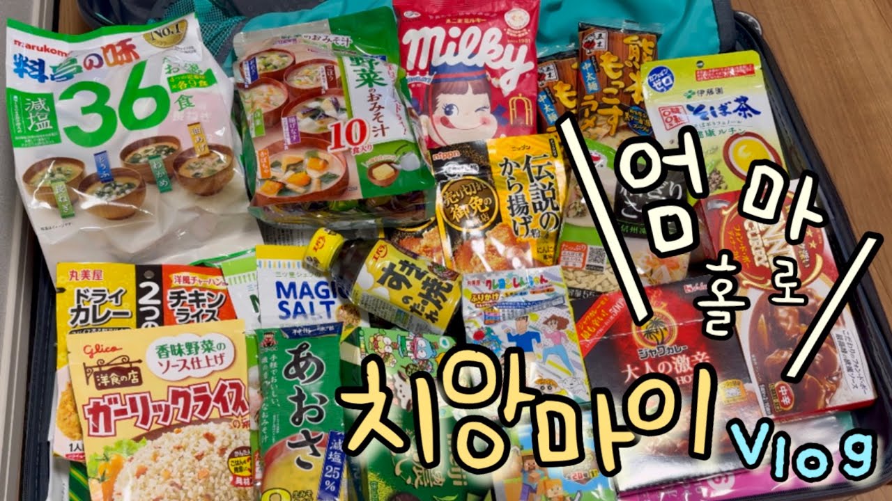 인천 맛집 뿌시고🇰🇷 n회차 태국🇹🇭 치앙마이 현지인처럼 마트 장 보고, 미슐랭, 시장 탐방하는 한달살이(?) 브이로그