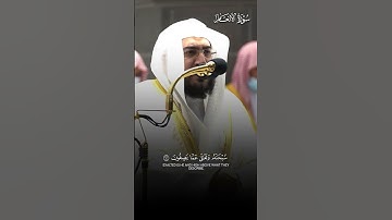 ﴿سُبحانَهُ وَتَعالى عَمّا يَصِفونَ﴾ | تلاوة بهيّة لفضيلة الشيخ د.#بندر_بليلة حفظه الله