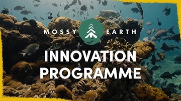 Our new Innovation Grant Programme - supporting ideas with great potential for ecological change