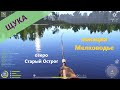 Русская рыбалка 4 - озеро Старый Острог - Щука за островком