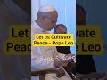 Let us cultivate peace - Pope Leo XIV #faith #motivation #love #leo #peace #hope #shorts