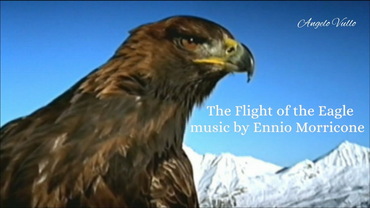 The Flight of the Eagle music by Ennio Morricone YouTube