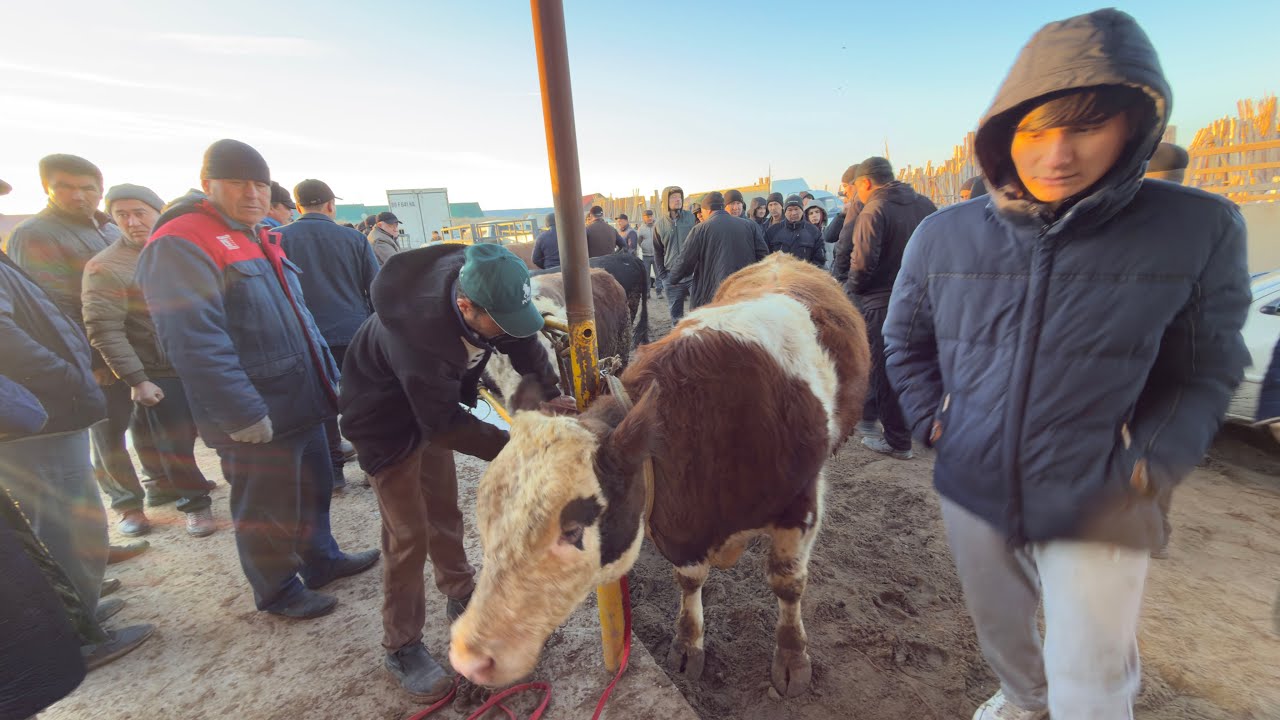 БЕРУНИЙ ХУКИЗ БОЗОРИ 1 КИСМ 22.02.2026