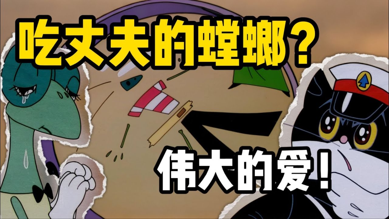 吃丈夫的螳螂？最簡單的愛情！印象最深的一集？這到底是不是偽科普？小愛和大愛的抉擇！偉大無需多言！ 【黑貓警長】