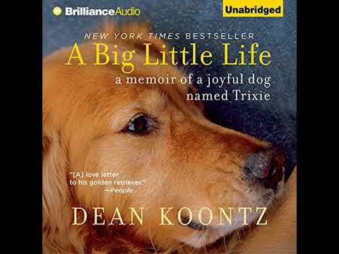 A Big Little Life Audiobook by Dean Koontz