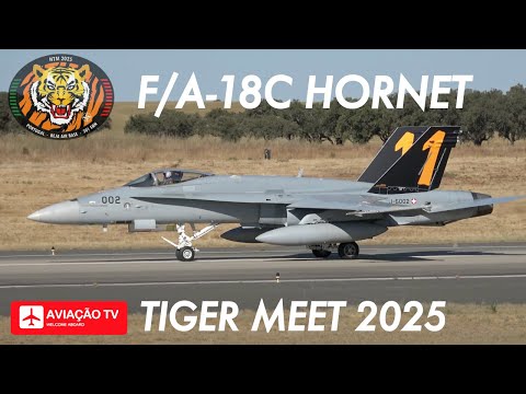 Swiss Air Force - F/A-18C Hornet - NATO Tiger Meet 2025 - BA11 Beja, Portugal