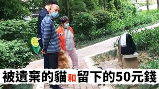 公園一隻被遺棄的貓貓包上寫着「請代我收養它」還留下了50元錢...