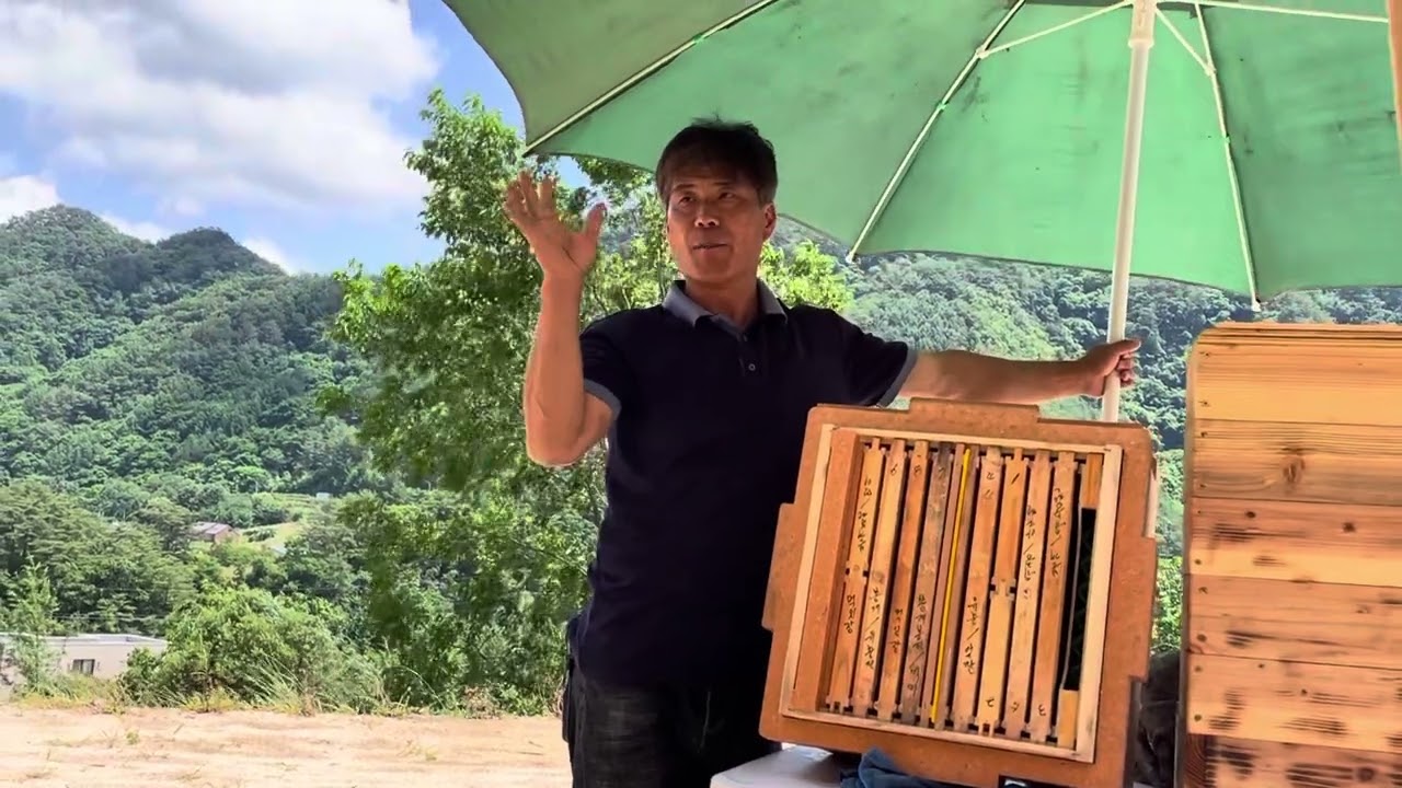 토종벌 벌통 늘이는 방법 총정리