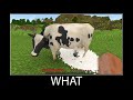 Minecraft wait what meme part 133 realistic minecraft Cow