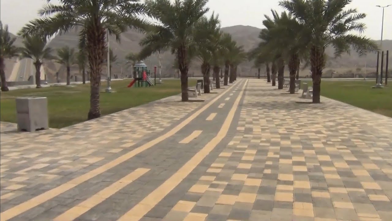 وادي بيش..مركز الفطيحة..منتزه بحيرة وسد وادي بيش..تصوير عام1447/2..2025/8..ت/أ.خالد بن يحيى لال