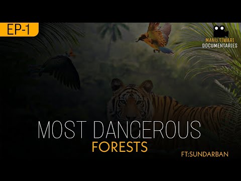 SUNDARBAN DELTA | INDIA | DOCUMENTARY BY MANU TIWARI