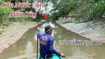 Con Nước Cạn Rút Khô Sông Miền Tây Cá Nổi Không Ngờ Tới | Kích Cá Miền Tây | Catch Fish
