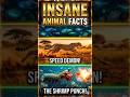 5 Insane Animals Facts That Sound Fake😱#AnimalFacts #Wildlife #Fact #ViralShorts #USAContent #Shorts
