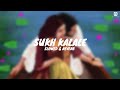 Sukh kalale lofi song   slowed reverb  riteish deshmukh  genelia deshmukh  sm creation