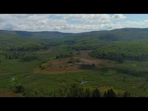 Cranberry Glades West Virginia May 15 22 Drone Panoramic